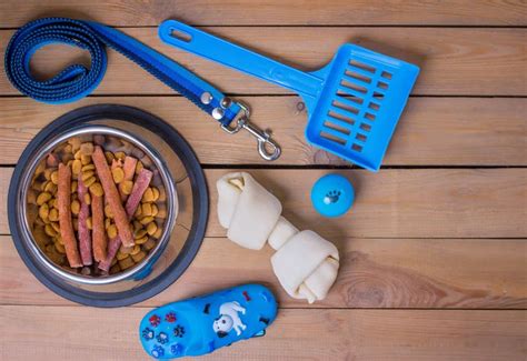I migliori accessori per avere cani e gatti stilosi almeno quanto i
